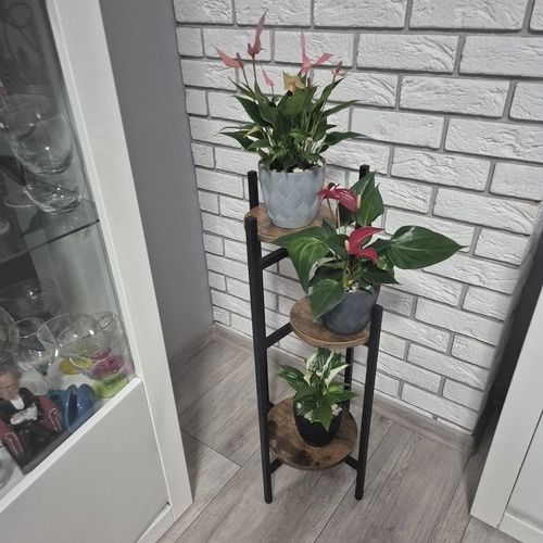 Modern Design
