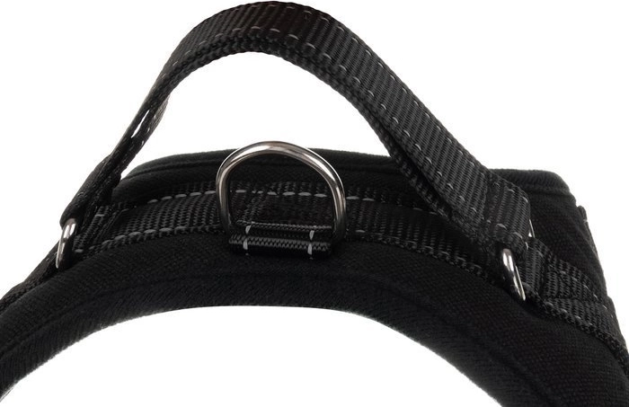 Control handle and D-ring for leash