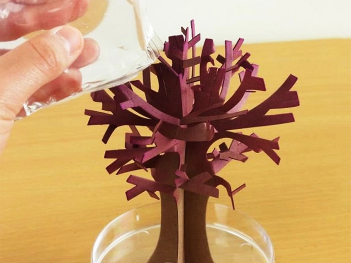 Lihtne protsess lastele ja täiskasvanutele