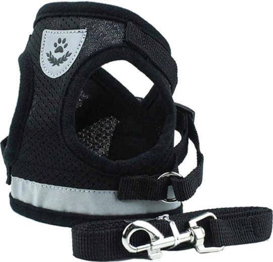 Easy adjustment and leash included