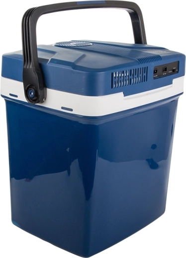 kaks toitevõimalust: auto ja võrk