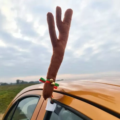 Jõuludisainiga sarved