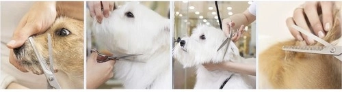 Professionaalne ergonoomika ja sujuv töö