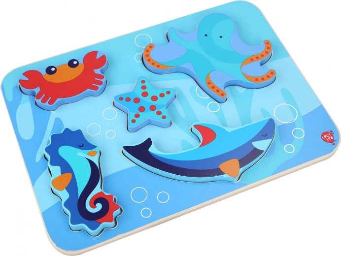 Värvikas mereilm, mis pakub rõõmu