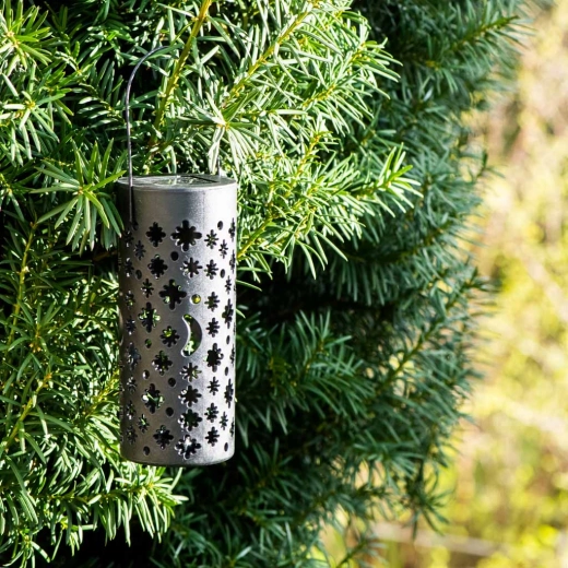 Torka maasse või riputa üles