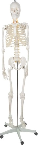 Mobiilne ja paindlik