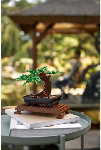 Loominguline ehitus täiskasvanutele