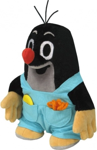 Eemaldatavad püksid taskuga