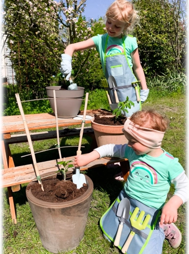 Lõbus ja oskusi arendav tegevus