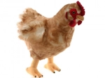 Plush Chicken