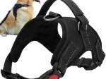 No-pull dog harness M, black