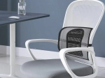 Orthopedic Back Support