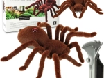 Kaugjuhtimisega karvane tarantel koos puldiga